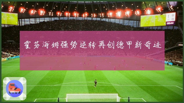 霍芬海姆强势逆转再创德甲新奇迹