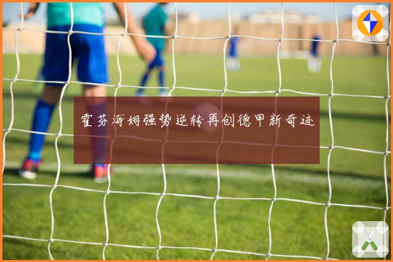 霍芬海姆强势逆转再创德甲新奇迹