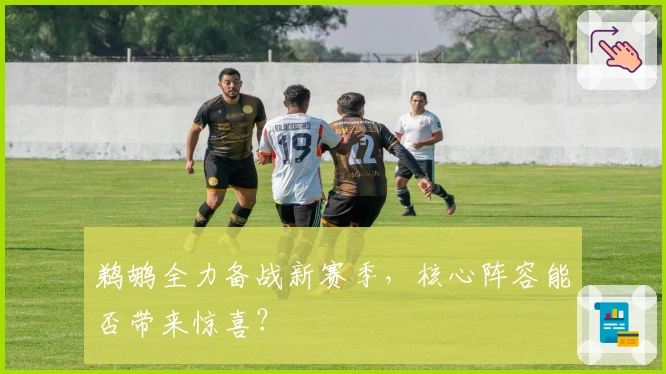 鹈鹕全力备战新赛季，核心阵容能否带来惊喜？