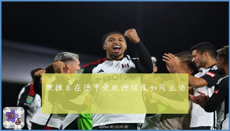 樊振东在德甲受欢迎程度如同主场