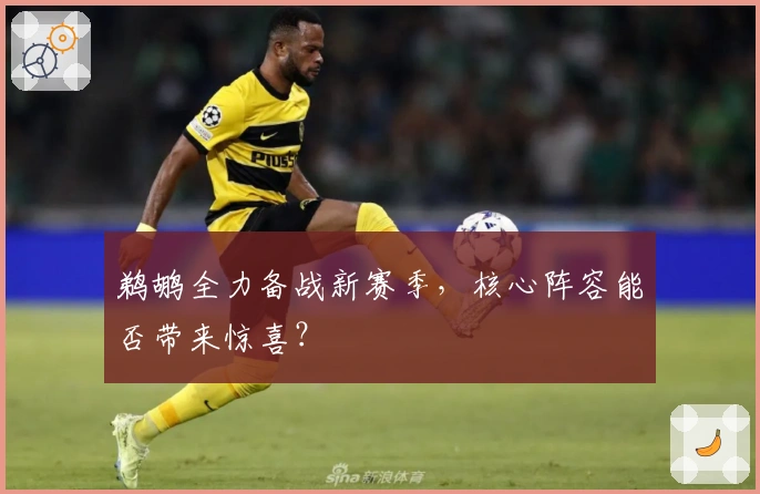 鹈鹕全力备战新赛季，核心阵容能否带来惊喜？