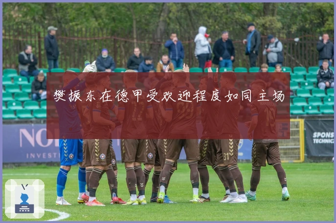 樊振东在德甲受欢迎程度如同主场